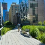 High Line New York