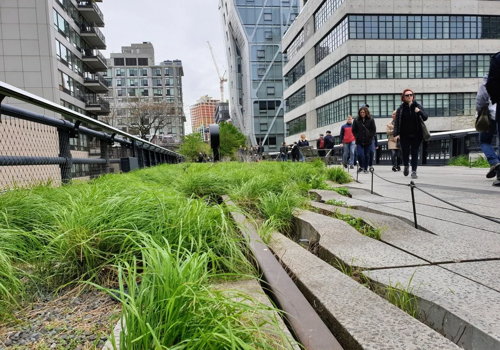 Anciens rails de la High Line