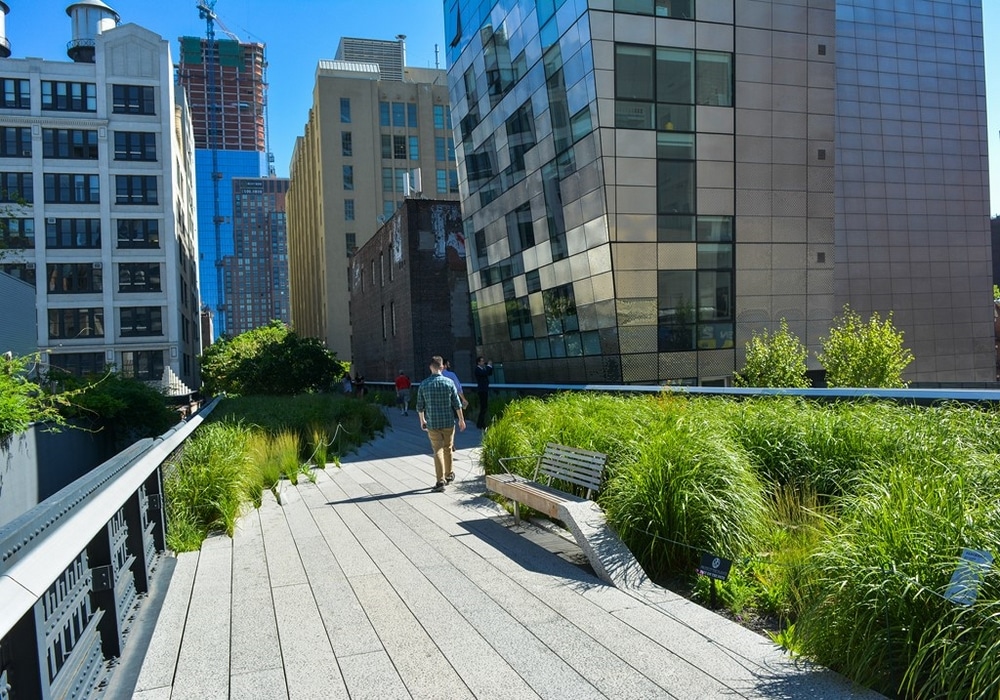 La High Line, un lieu incontournable