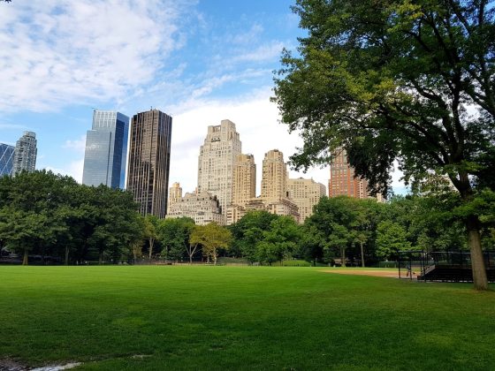 Central Park lors d’un premier voyage à New York