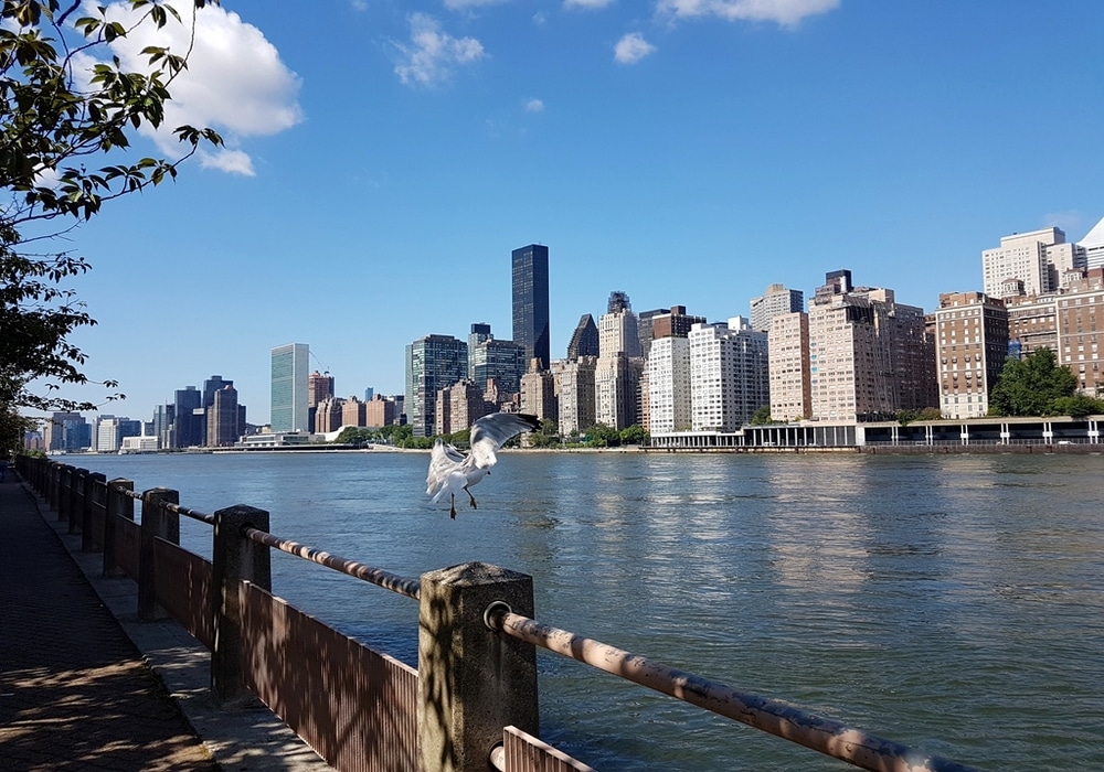 Roosevelt Island