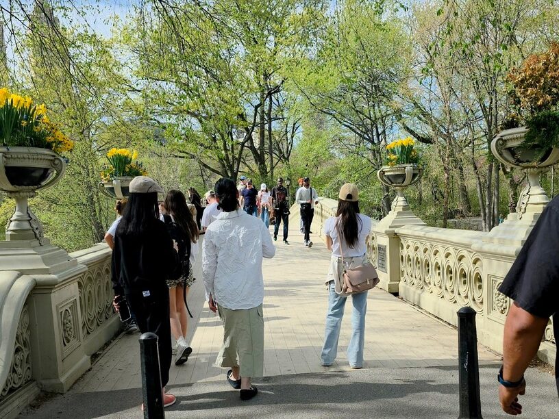 Central Park the mall e1784474571342 Central Park the mall