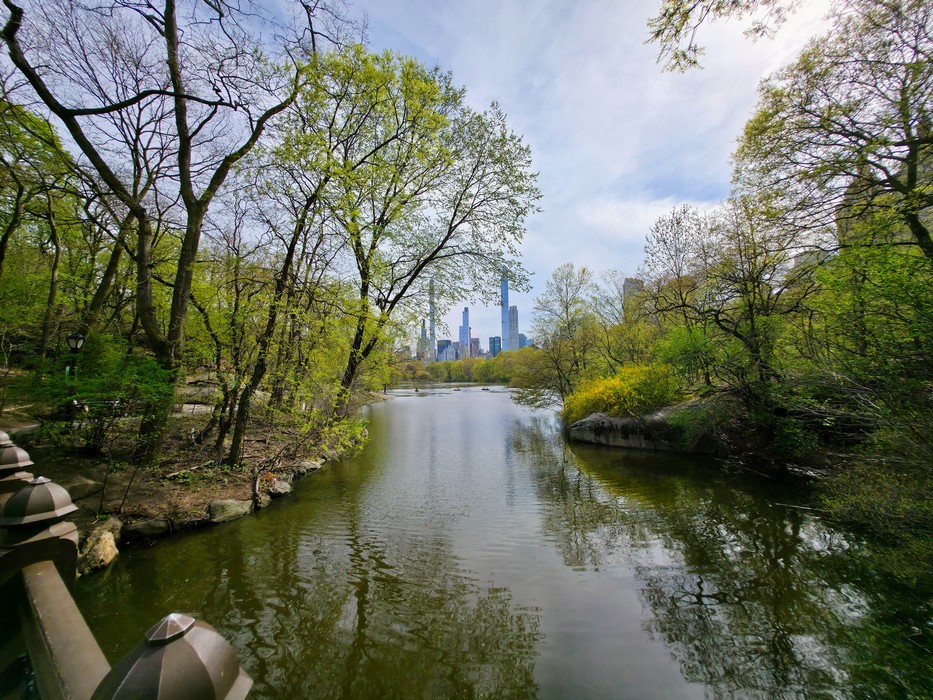 Vue sur The Lake depuis Oak Bridge à Central Park